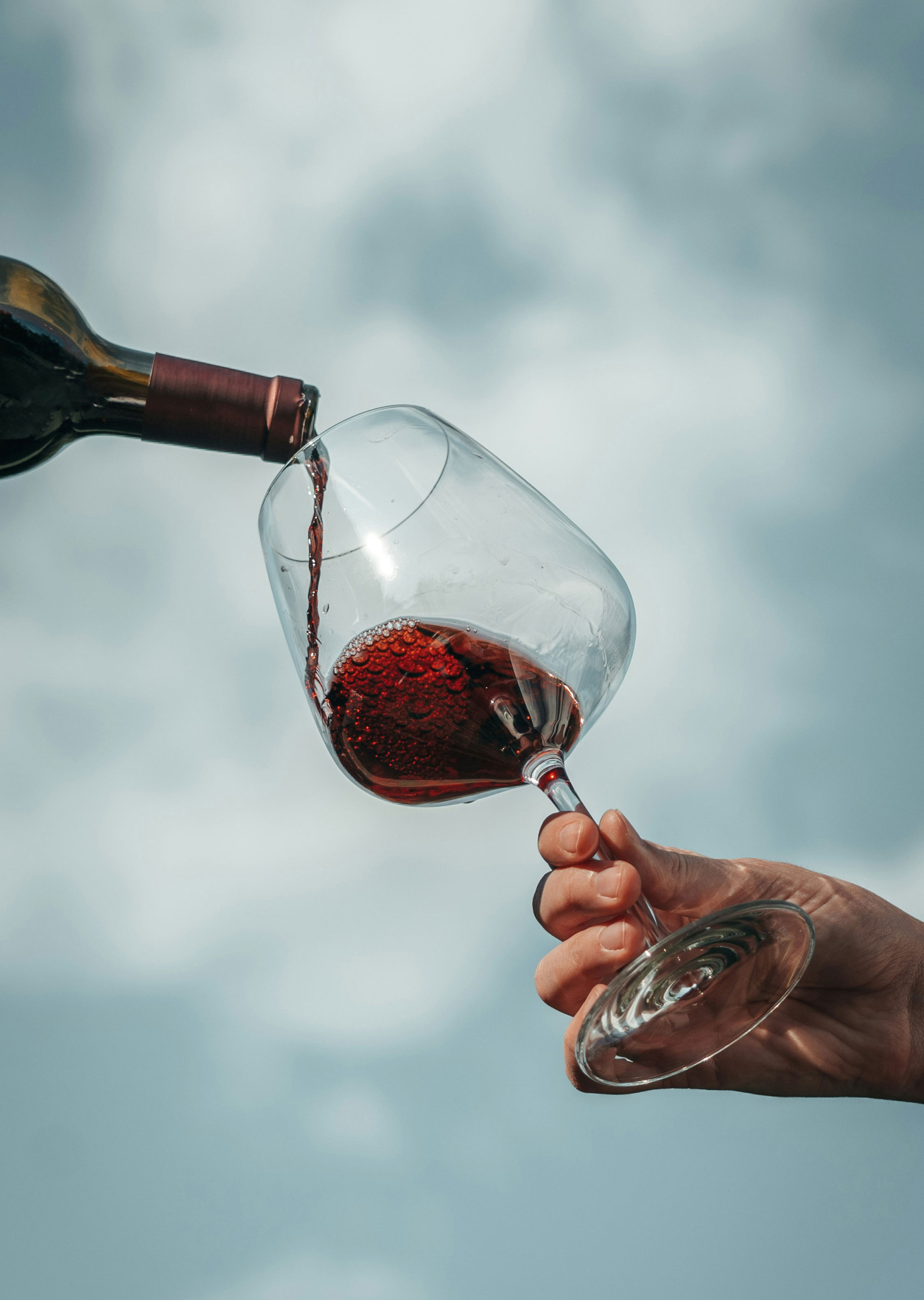 Un mar de vins