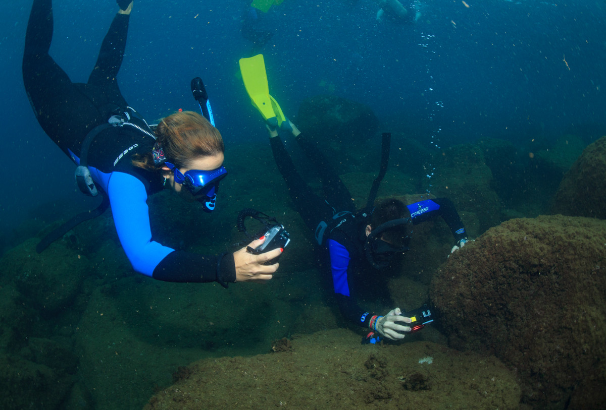 Descubre el fondo marino de Barcelona