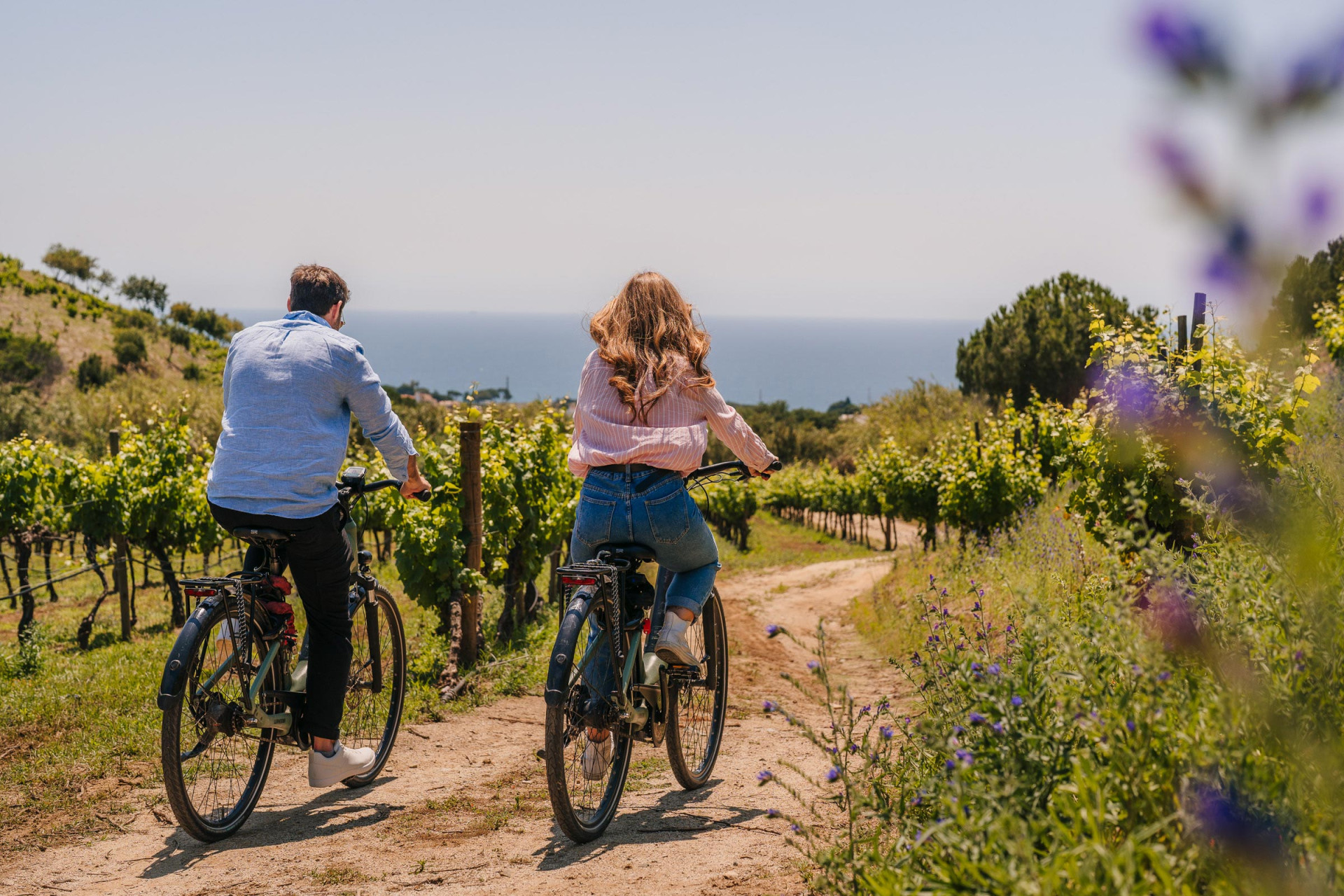 Tour en bicicleta por la costa hasta los viñedos - Premium Small Group Tour