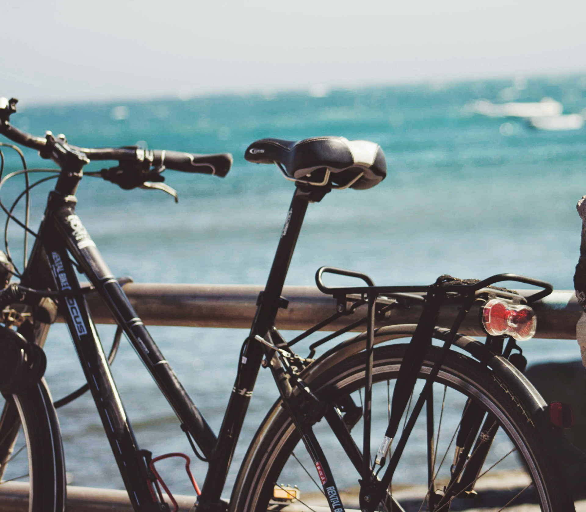 Beach ride to the vineyards from Barcelona