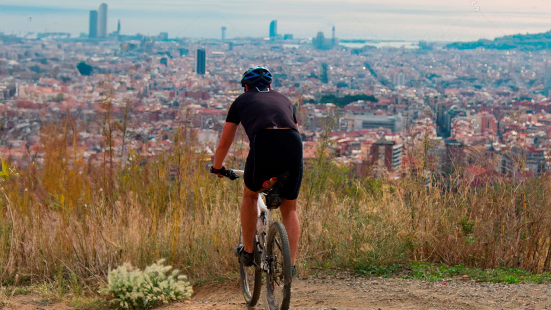 Collserola by e-bike: Barcelona's Natural Park
