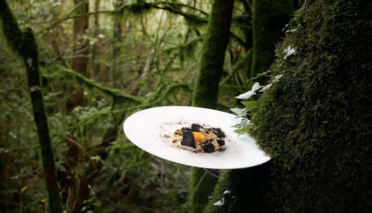 La Garrotxa: terra de volcans i estrelles Michelin