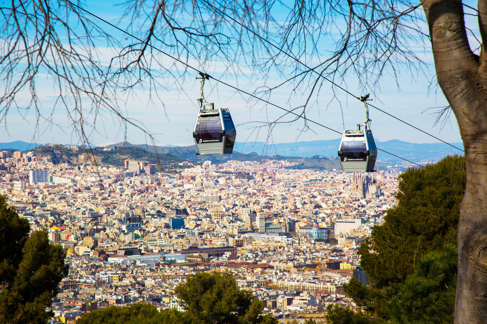 Panoramic Montjuïc Private Walking Tour