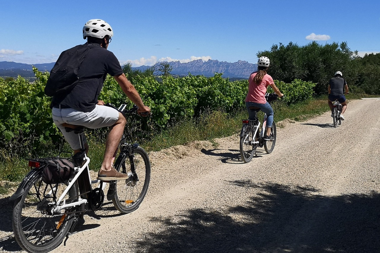 Penedès ebike route and gourmet picnic